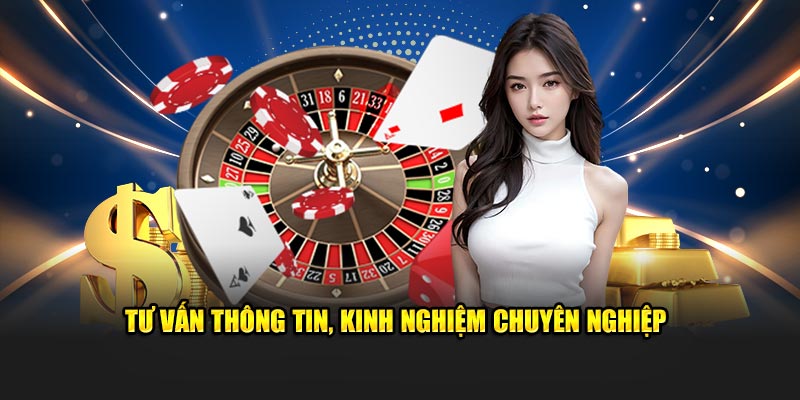 Tư vấn thông tin, kinh nghiệm chuyên nghiệp